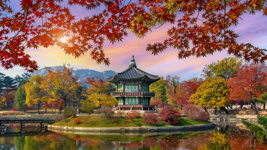 South Korea and Japan group 2